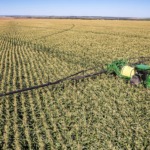 Pulverizadora Autopropulsada M4030 en campo.